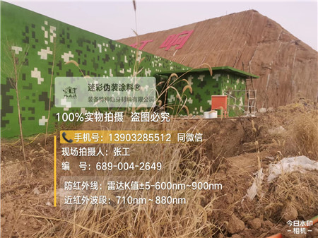 江苏星空迷彩墙施工队