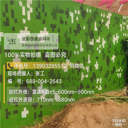江苏星空迷彩漆，夏令营训练,数码迷彩作训墙,围墙