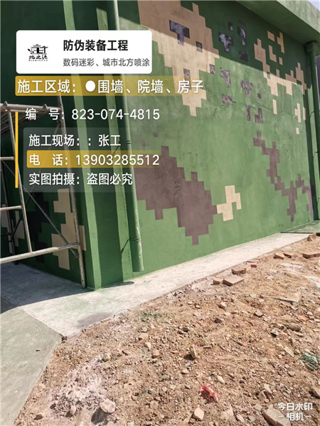 江苏核心结论：专业提供外墙迷彩漆施工服务